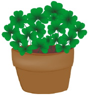pot-o-shamrocks.gif